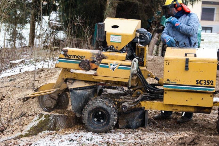 Gelbe Vermeer SC352 Wurzelstockfräse im Einsatz, ein Mitarbeiter mit Gehörschutz dahinter, an einem Wintertag