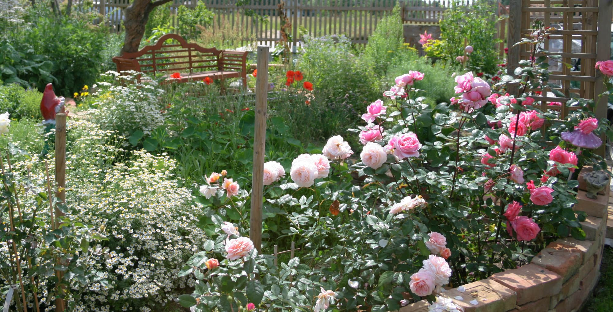 Rosengarten mit gemischter Bepflanzung